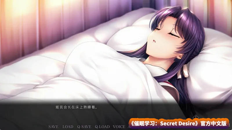 【日式拔作SLG游戏】催眠学习：Secret Desire 官方中文版+全CG存档【网盘下载】