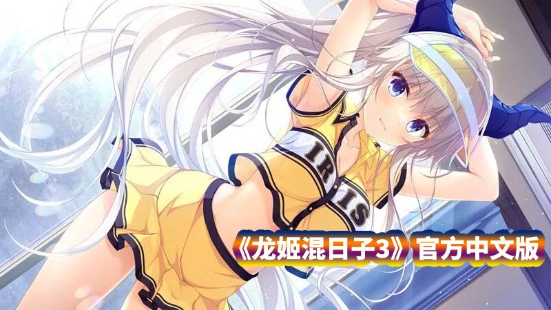 【高实用Galgame/ADV游戏】龙姬混日子3 官方中文步兵版+全CG存档【度盘下载】