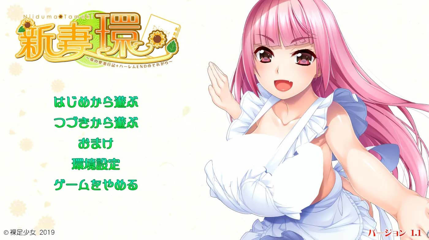 [ADV] 新妻环 环的爱妻日记 + 后来的后宫结局Ver1.1 汉化版+全CG存档 [下载]